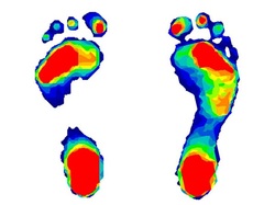 The Human Footprint - Environmental Science.